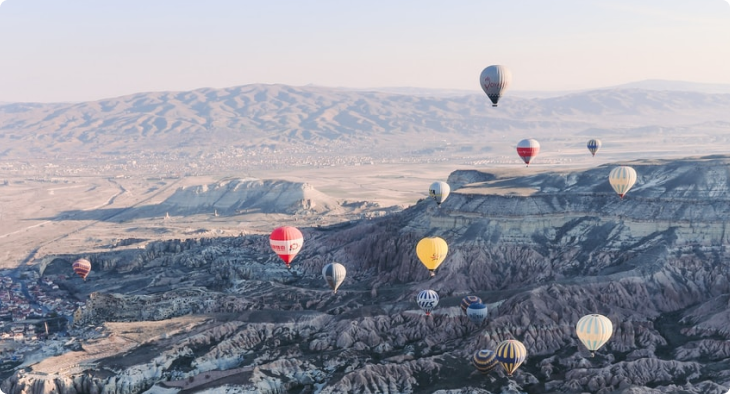 Free Bird Travel